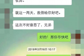 山东为什么选择专业追讨公司来处理您的债务纠纷？